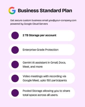 Google Workspace Business Standard Edition